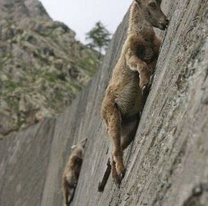 Meet your Posher, Tom